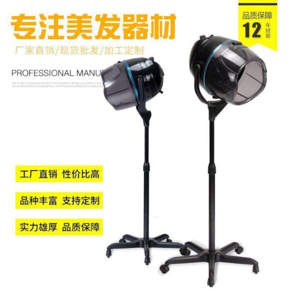 Professional Quality Eeg Wall Hair Dryer Salon